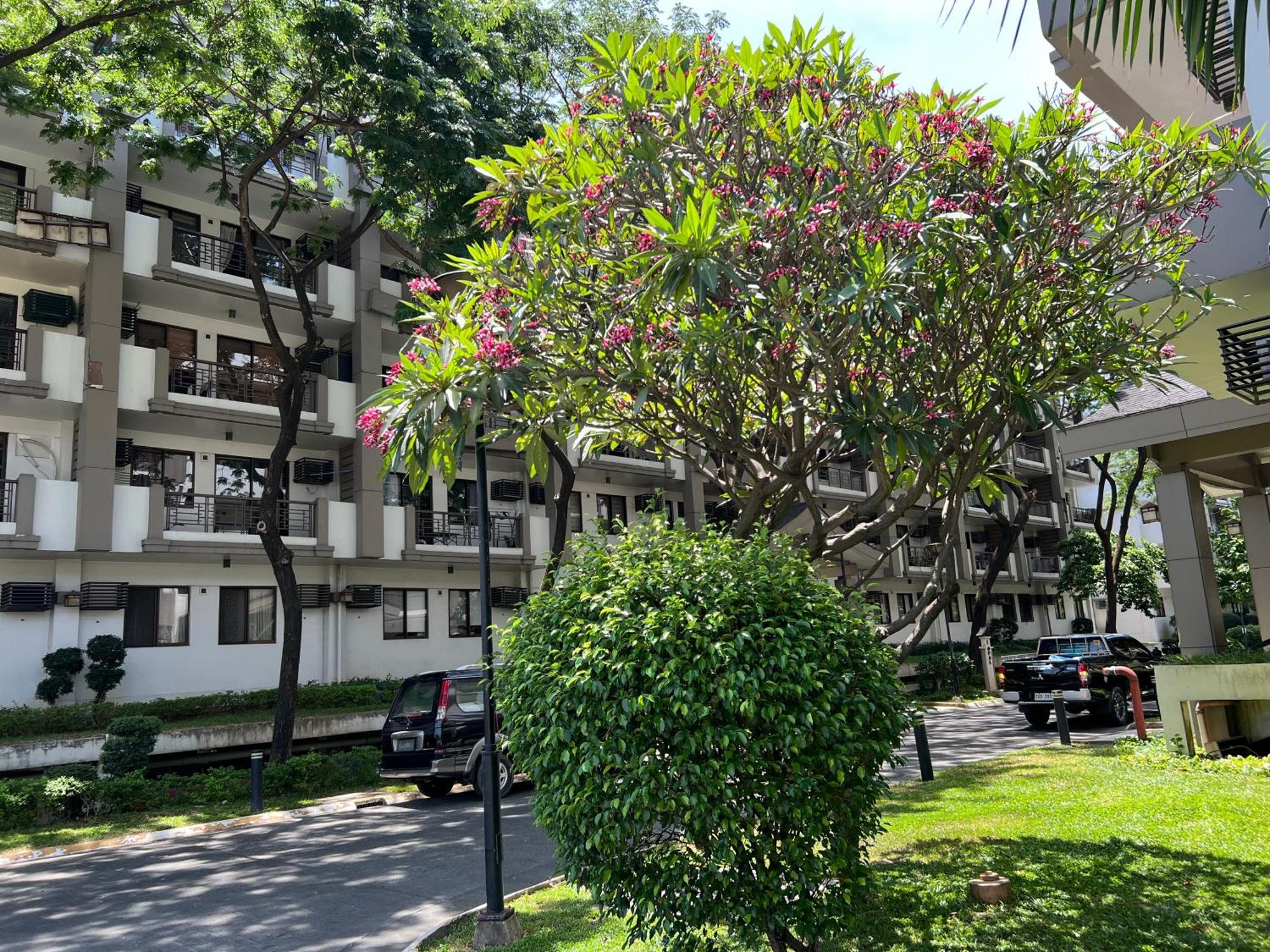 Stunning 2Br Apt, 65 Sq M Netflix At Rosewood Pointe Residences Near Bgc Manila Exteriér fotografie